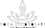 Yoga Stüdyoları