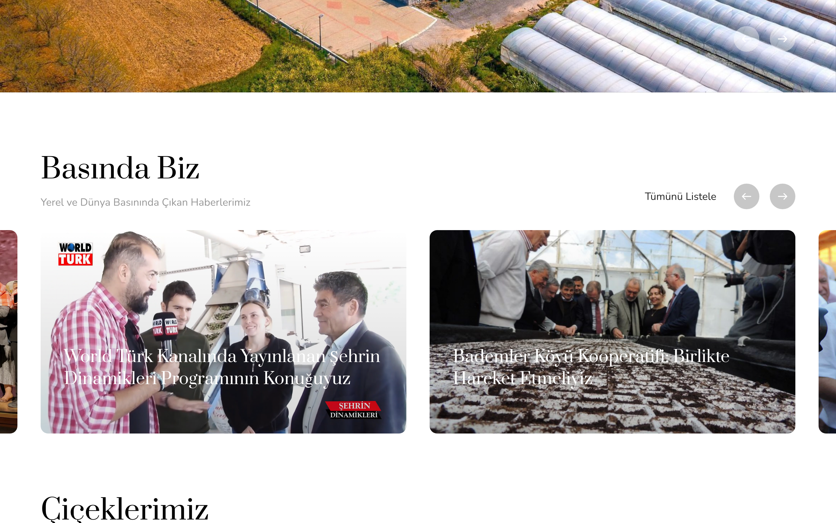 Bademler Koop — KATALOG · ZEYTİNYAĞI